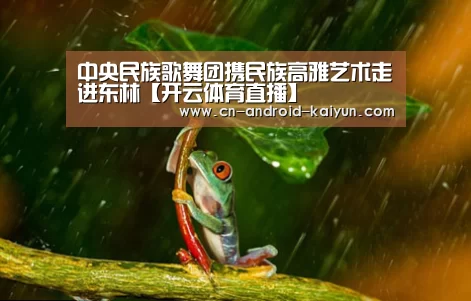 中央民族歌舞团携民族高雅艺术走进东林【开云体育直播】(图4) 开云直播